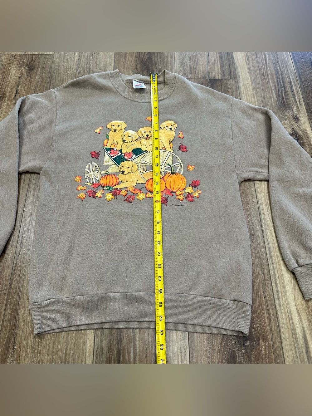 Vtg Russell Jerzees Puppy Dog Fall Halloween Pumpkin Sweatshirt USA Made, Medium - Picture 6 of 7